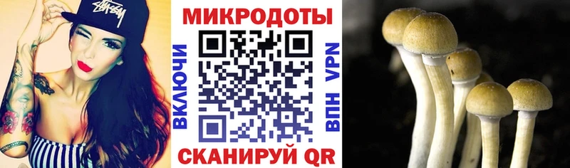Галлюциногенные грибы MAGIC MUSHROOMS  Еманжелинск 